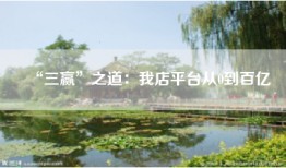 “三赢”之道：我店平台从0到百亿