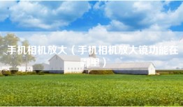 手机相机放大（手机相机放大镜功能在哪里）