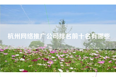 杭州网络推广公司排名前十名有哪些