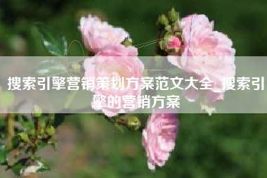 搜索引擎营销策划方案范文大全_搜索引擎的营销方案