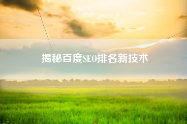 揭秘百度SEO排名新技术