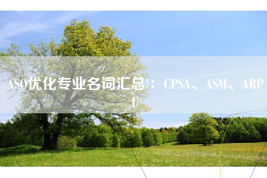 ASO优化专业名词汇总!：CPSA、A、ARPU
