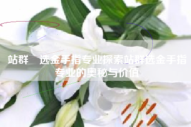 站群牜选金手指专业探索站群选金手指专业的奥秘与价值