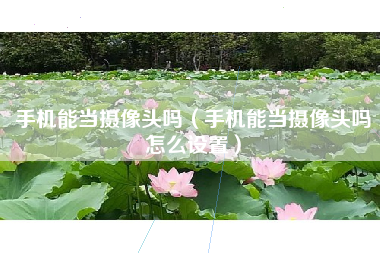 手机能当摄像头吗（手机能当摄像头吗怎么设置）