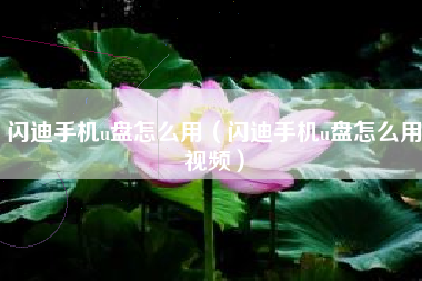 闪迪手机u盘怎么用（闪迪手机u盘怎么用视频）