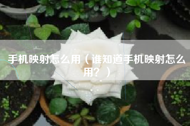 手机映射怎么用（谁知道手机映射怎么用？）