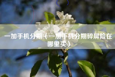 一加手机分期（一加手机分期碎屏险在哪里买）