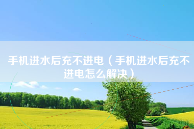手机进水后充不进电（手机进水后充不进电怎么解决）