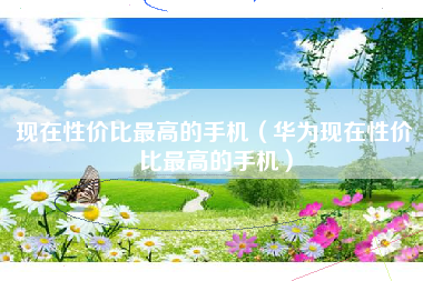 现在性价比最高的手机（华为现在性价比最高的手机）