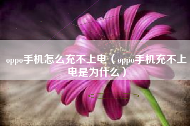 oppo手机怎么充不上电（oppo手机充不上电是为什么）