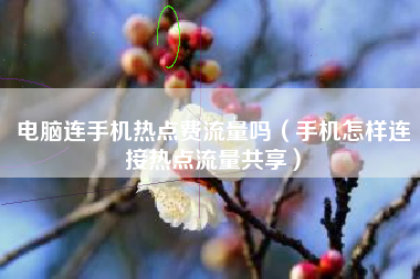 电脑连手机热点费流量吗（手机怎样连接热点流量共享）
