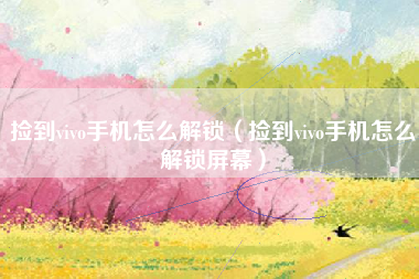 捡到vivo手机怎么解锁（捡到vivo手机怎么解锁屏幕）