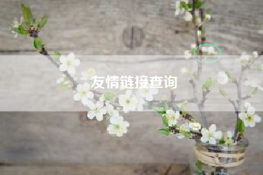 友情链接查询