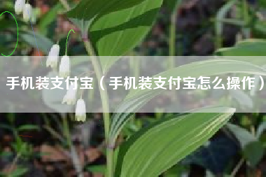手机装支付宝（手机装支付宝怎么操作）