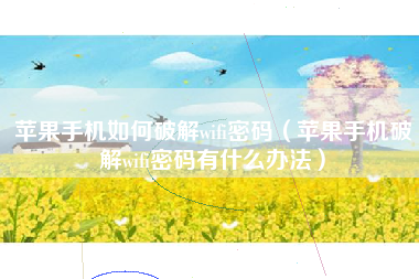 苹果手机如何破解wifi密码（苹果手机破解wifi密码有什么办法）