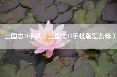 三国志11手机（三国志11手机版怎么样）