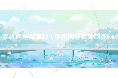 手机网速被限制（手机网速被限制在600kb）