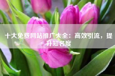 十大免费网站推广大全：高效引流，提升知名度