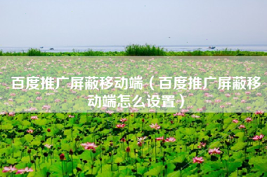 百度推广屏蔽移动端（百度推广屏蔽移动端怎么设置）