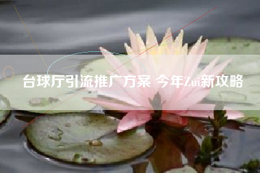 台球厅引流推广方案 今年Zui新攻略