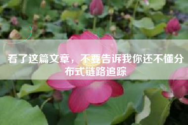 看了这篇文章，不要告诉我你还不懂分布式链路追踪